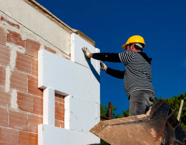 Best Insulation Maintenance and Repair in Pantego, TX
