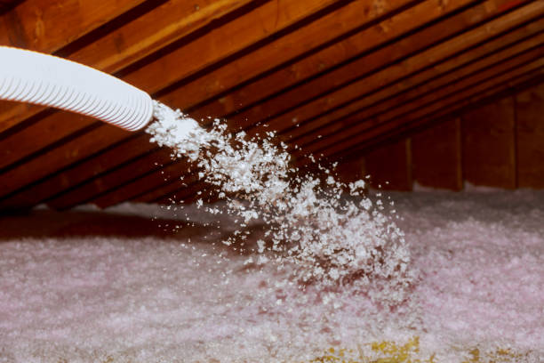 Best Energy Efficiency Insulation in Pantego, TX