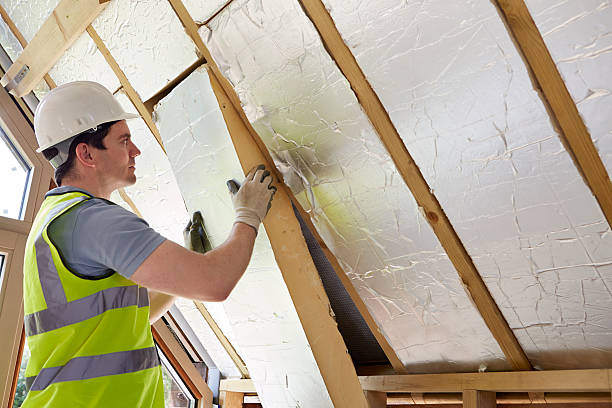 Best DIY Insulation Kits and Guidance in Pantego, TX