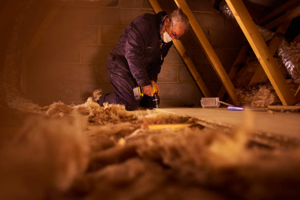 Types of Insulation We Offer in Pantego, TX
